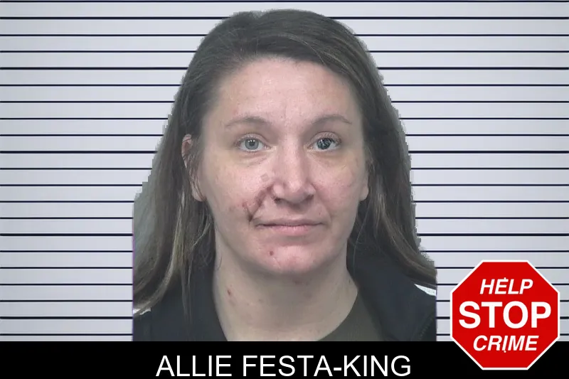 Allie Festa-King mugshot – Gwinnett County , Georgia Allie Festa-King mugshot