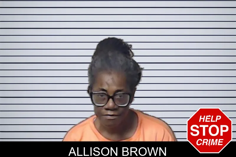 Allison Brown mugshot – DeKalb County , Georgia Allison Brown mugshot