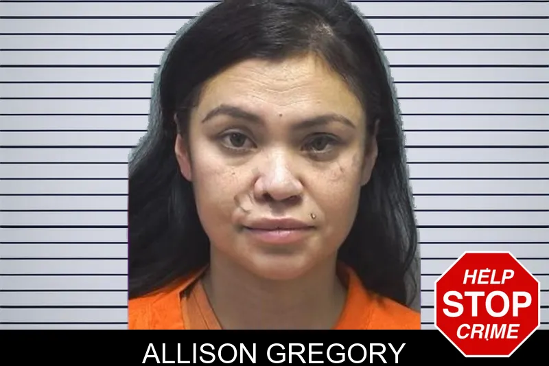 Allison Gregory mugshot – Cherokee County , Georgia Allison Gregory mugshot