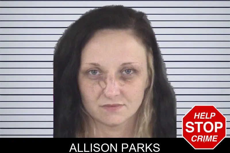 Allison Parks mugshot – Spalding County , Georgia Allison Parks mugshot