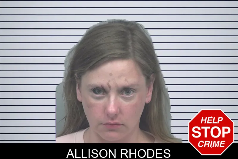 Allison Rhodes mugshot – Gwinnett County , Georgia Allison Rhodes mugshot
