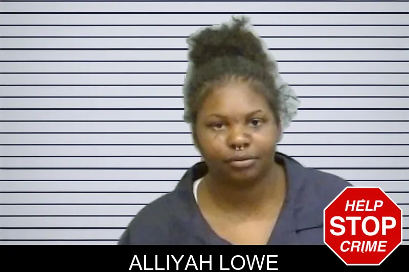 Alliyah Lowe mugshot – Fulton County , Georgia Alliyah Lowe mugshot