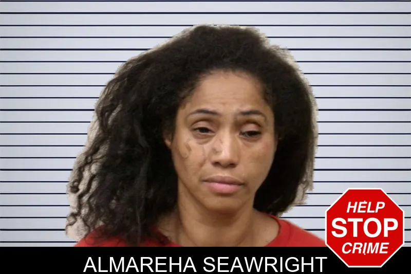 Almareha Seawright mugshot – Bulloch County , Georgia Almareha Seawright mugshot