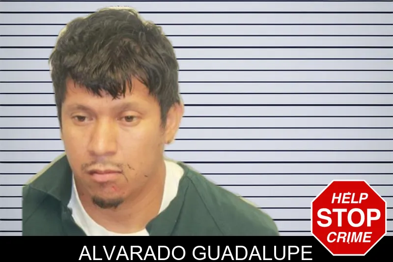 Alvarado Guadalupe mugshot – Chatham County , Georgia Alvarado Guadalupe mugshot