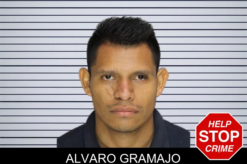 Alvaro Gramajo mugshot