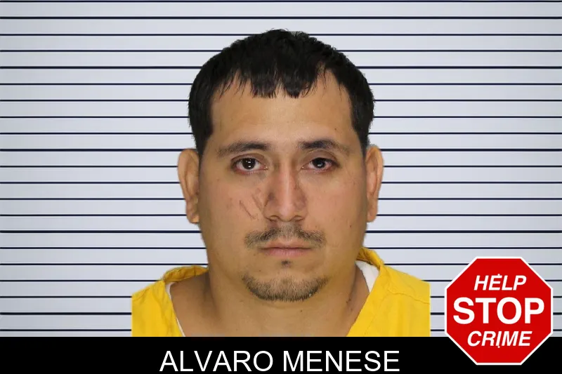 Alvaro Menese mugshot