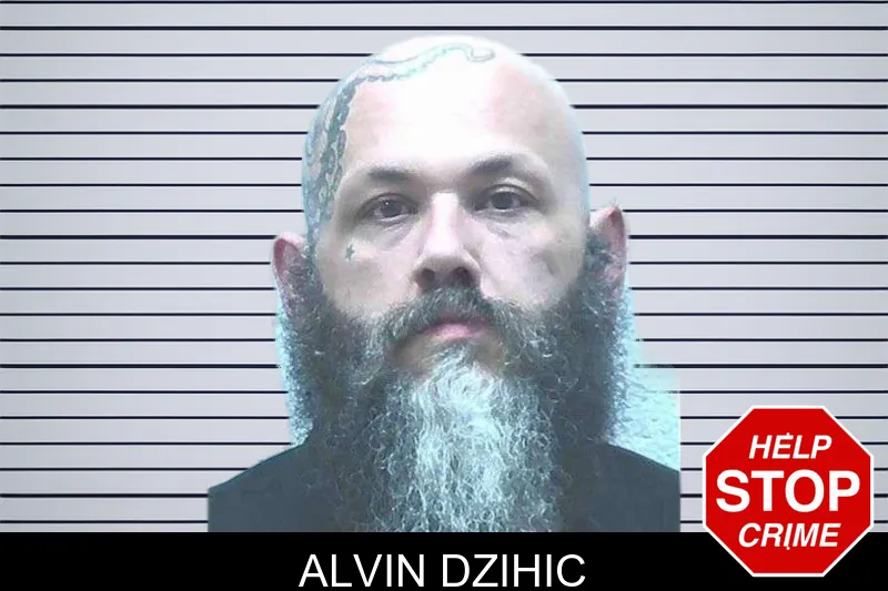 Alvin Dzihic mugshot – Jackson County , Georgia Alvin Dzihic mugshot