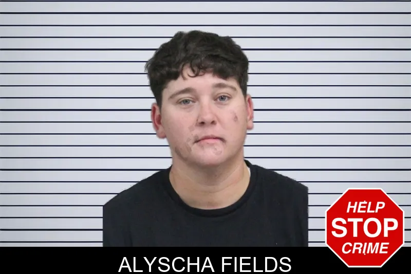 Alyscha Fields mugshot – Catoosa County , Georgia Alyscha Fields mugshot