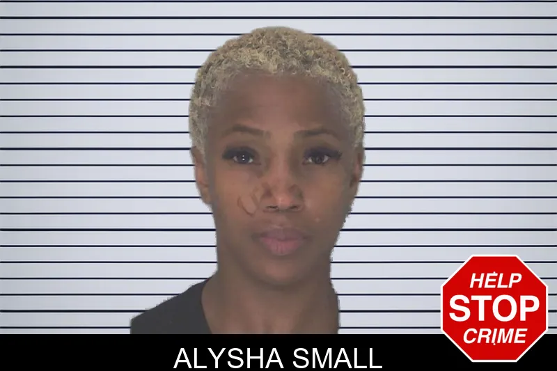 Alysha Small mugshot