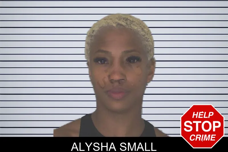 Alysha Small mugshot – Douglas County , Georgia Alysha Small mugshot
