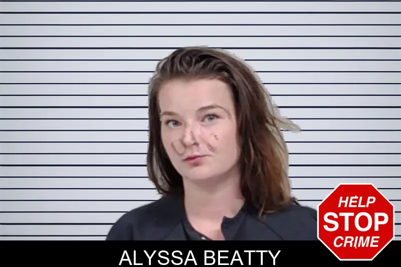 Alyssa Beatty mugshot – Lowndes County , Georgia Alyssa Beatty mugshot