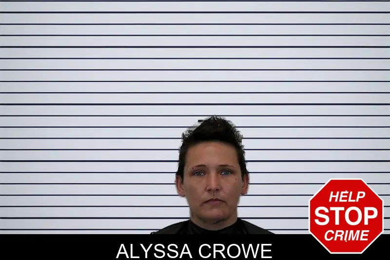 Alyssa Crowe mugshot