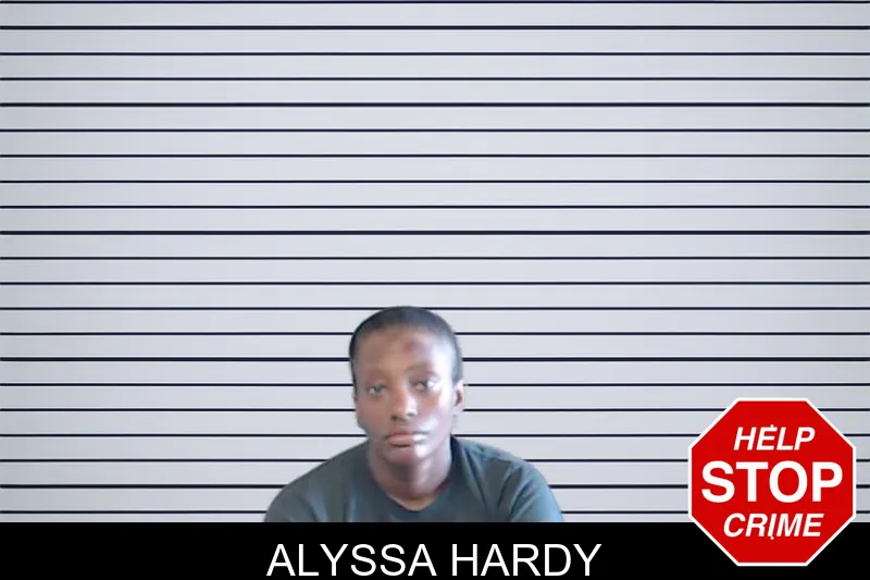 Alyssa Hardy mugshot – DeKalb County , Georgia Alyssa Hardy mugshot