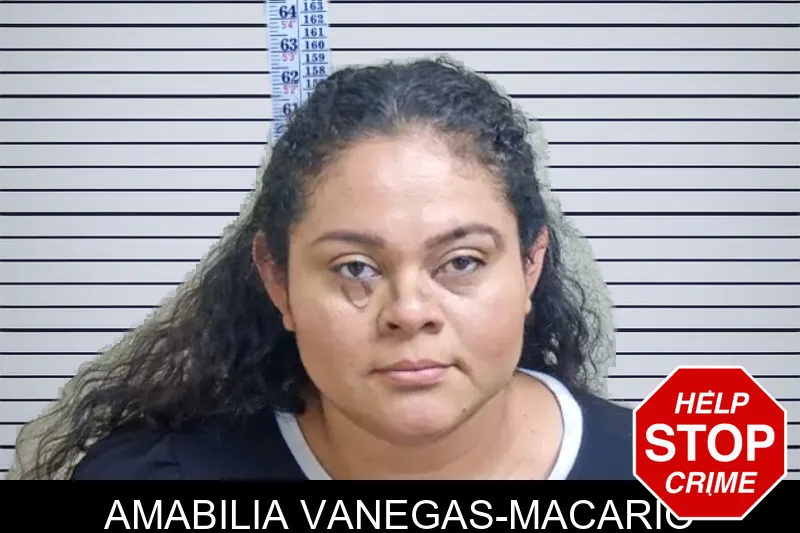 Amabilia Vanegas-Macario mugshot – Gwinnett County , Georgia Amabilia Vanegas-Macario mugshot