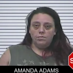 Amanda Adams mugshot