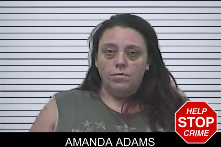 Amanda Adams mugshot – Dawson County , Georgia Amanda Adams