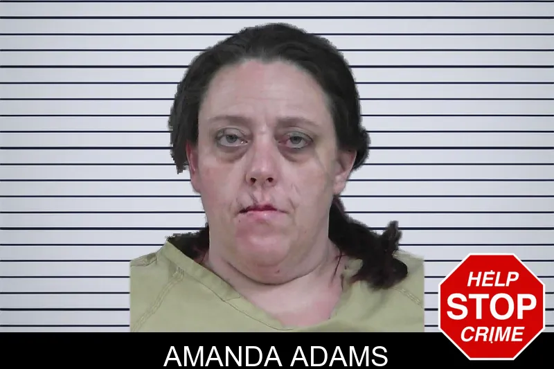 Amanda Adams mugshot – Gordon County , Georgia Amanda Adams mugshot