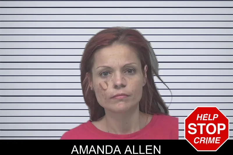 Amanda Allen mugshot – Gwinnett County , Georgia Amanda Allen mugshot