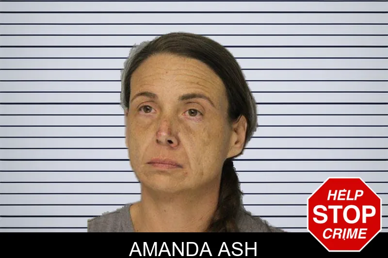 Amanda Ash mugshot – Hall County , Georgia Amanda Ash mugshot
