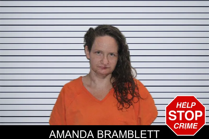 Amanda Bramblett mugshot – Murray County , Georgia Amanda Bramblett mugshot