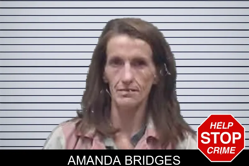 Amanda Bridges mugshot – Oglethorpe County , Georgia Amanda Bridges mugshot