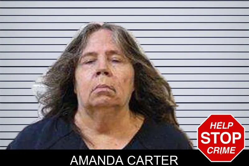 Amanda Carter mugshot – Polk County , Georgia Amanda Carter mugshot