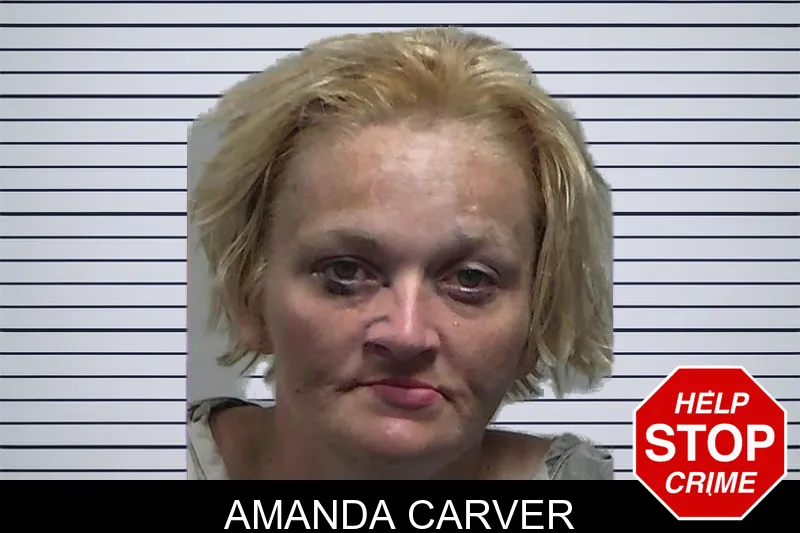 Amanda Carver mugshot – Tift County , Georgia Amanda Carver mugshot