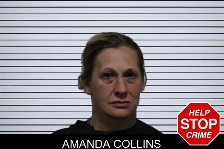 Amanda Collins mugshot – Habersham County , Georgia Amanda Collins