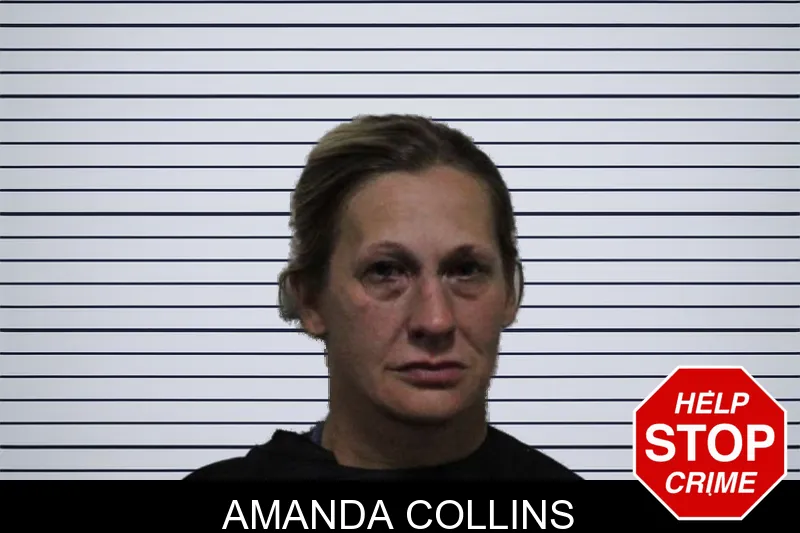 Amanda Collins mugshot – Habersham County , Georgia Amanda Collins mugshot