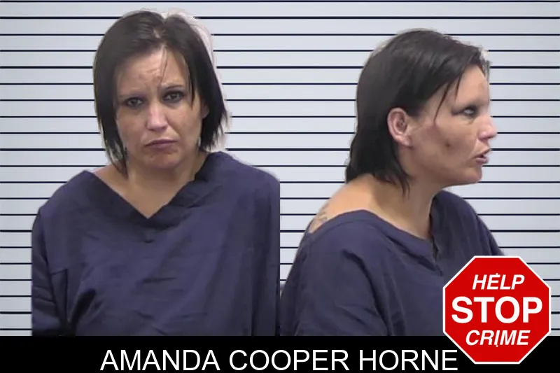 Amanda Cooper Horne mugshot – Clarke County , Georgia Amanda Cooper Horne mugshot