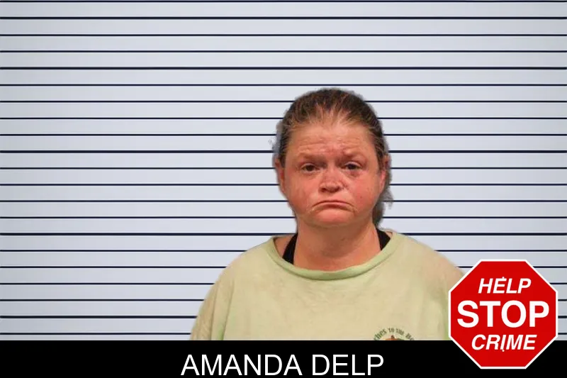 Amanda Delp mugshot – Monroe County , Georgia Amanda Delp mugshot