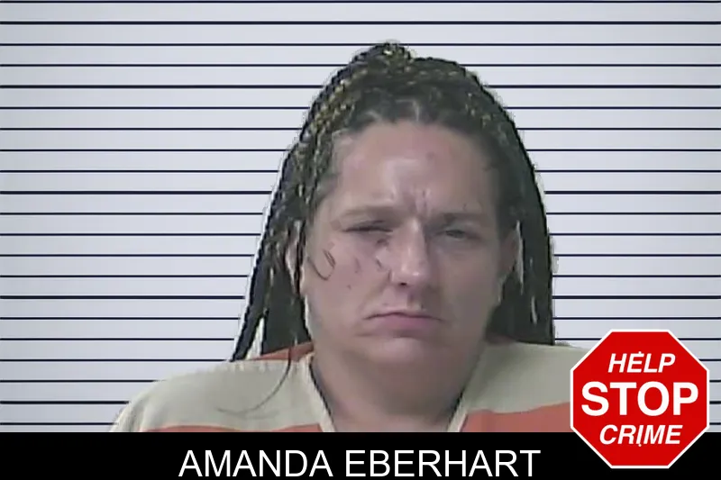 Amanda Eberhart mugshot – Oconee County , Georgia Amanda Eberhart mugshot