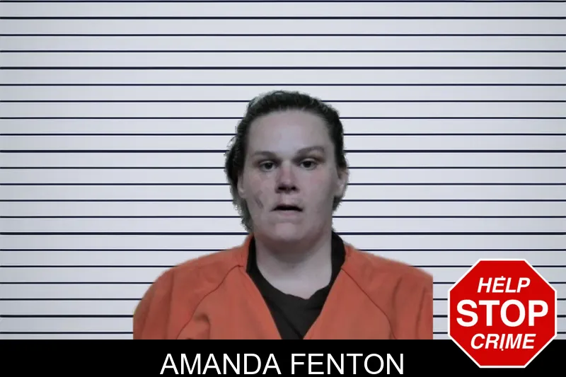 Amanda Fenton mugshot