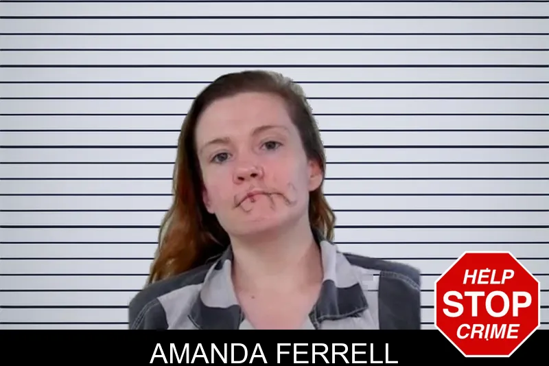 Amanda Ferrell mugshot