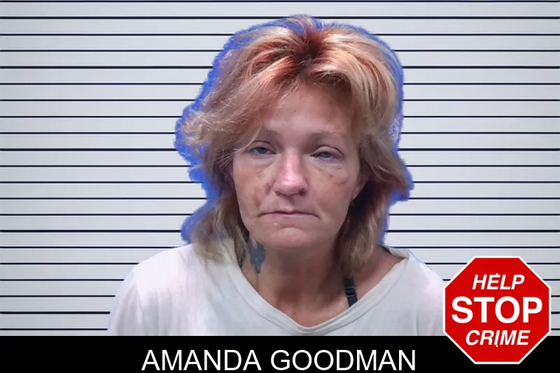 Amanda Goodman mugshot – Troup County , Georgia Amanda Goodman mugshot