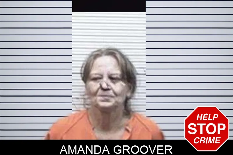 Amanda Groover mugshot – Tattnall County , Georgia Amanda Groover mugshot