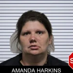 Amanda Harkins mugshot – Habersham County , Georgia Amanda Harkins mugshot
