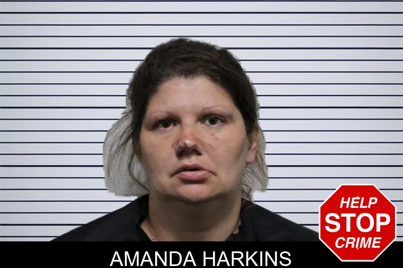 Amanda Harkins mugshot