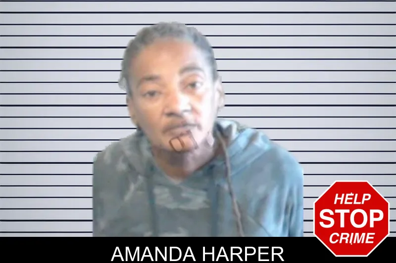 Amanda Harper mugshot