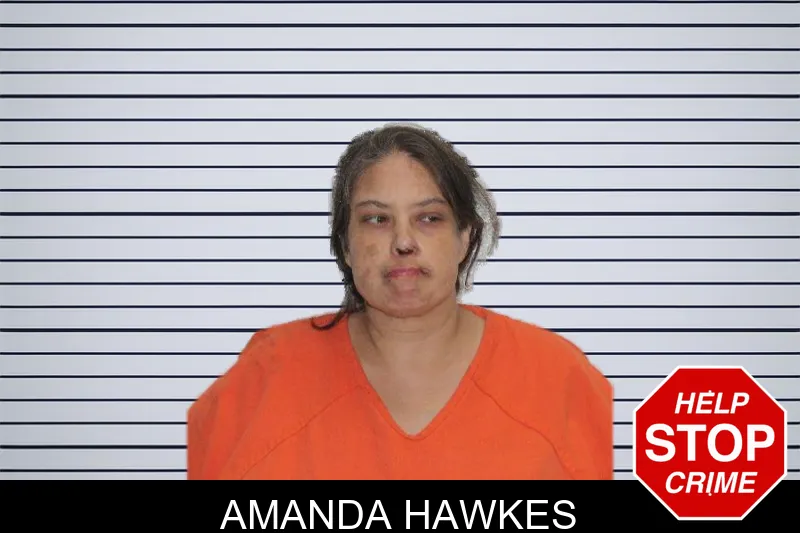Amanda Hawkes mugshot – Murray County , Georgia Amanda Hawkes mugshot