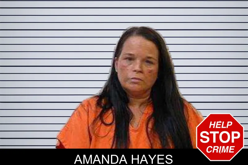 Amanda Hayes mugshot – Polk County , Georgia Amanda Hayes mugshot