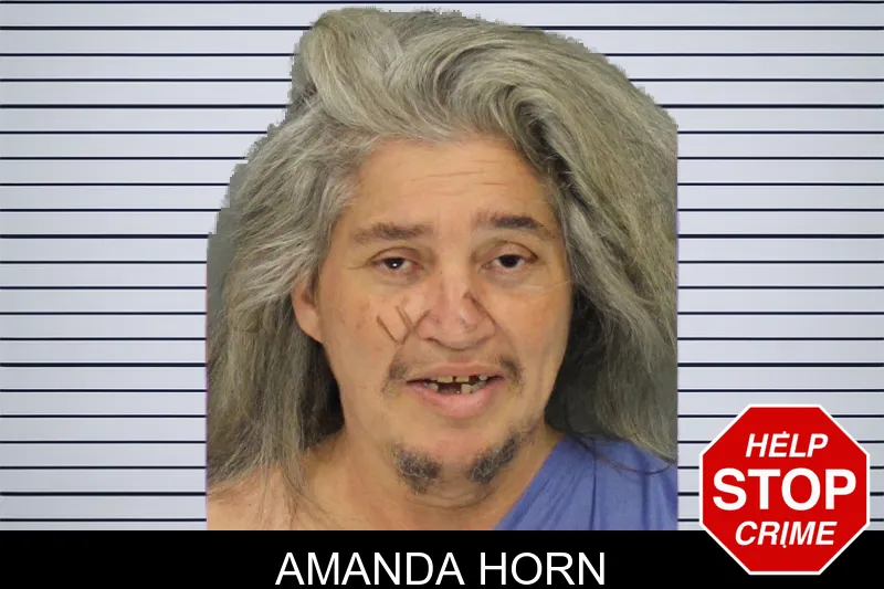 Amanda Horn mugshot