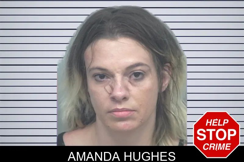 Amanda Hughes mugshot – Gwinnett County , Georgia Amanda Hughes mugshot