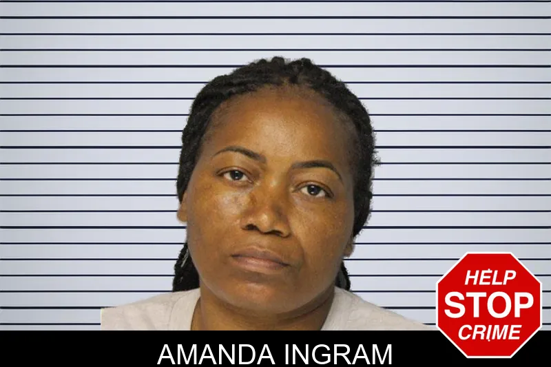 Amanda Ingram mugshot – Hall County , Georgia Amanda Ingram mugshot