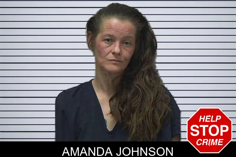 Amanda Johnson mugshot