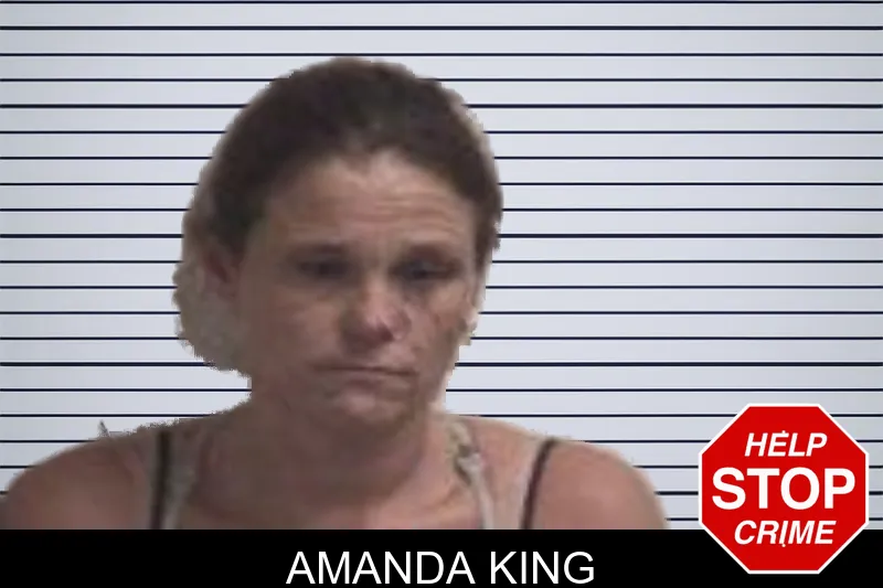 Amanda King mugshot – Henry County , Georgia Amanda King mugshot