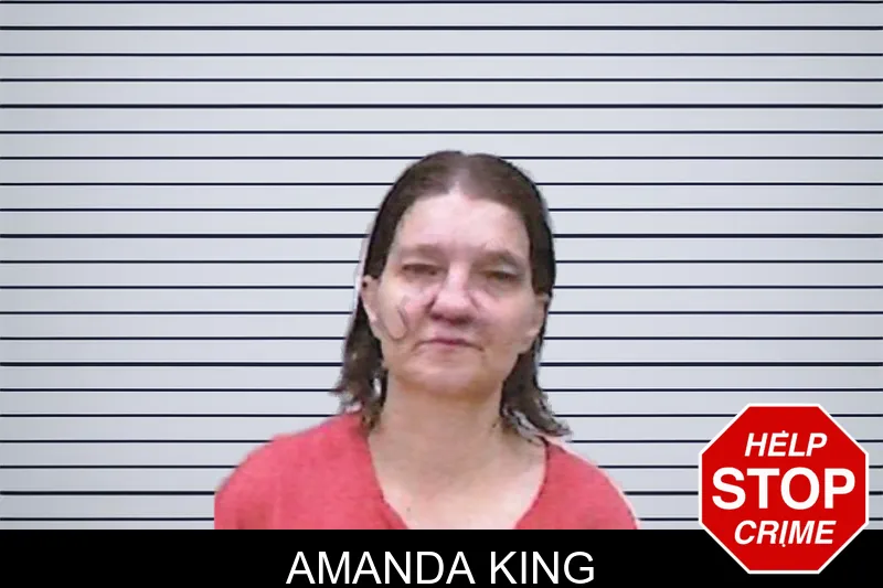Amanda King mugshot