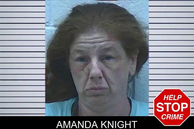 Amanda Knight mugshot