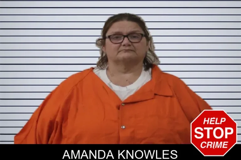Amanda Knowles mugshot – Johnson County , Georgia Amanda Knowles