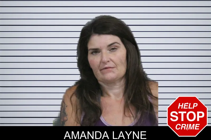 Amanda Layne mugshot – Catoosa County , Georgia Amanda Layne mugshot